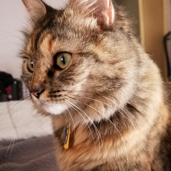 Meet your Posher, Amie - Picture 3 of 3